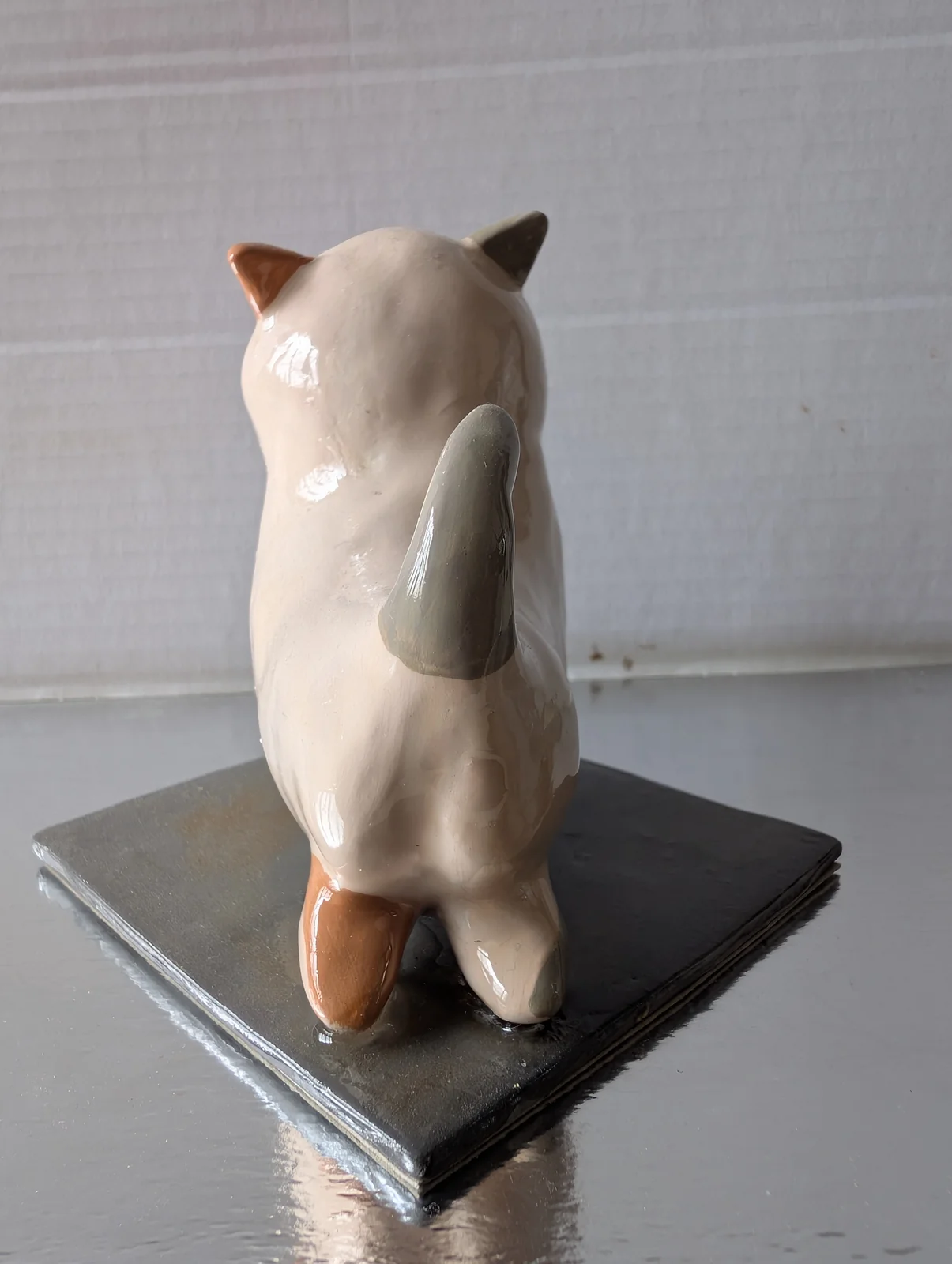 Chat qui s'étire, vue 3