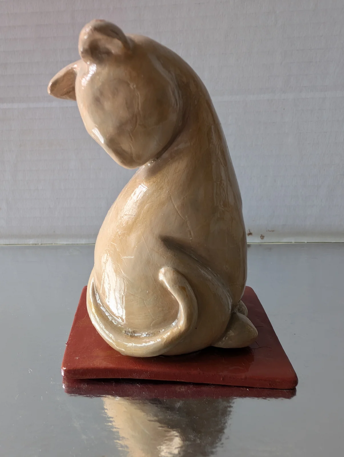 Chat doré, vue 1