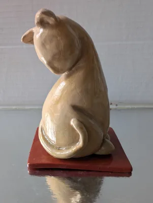 Chat doré