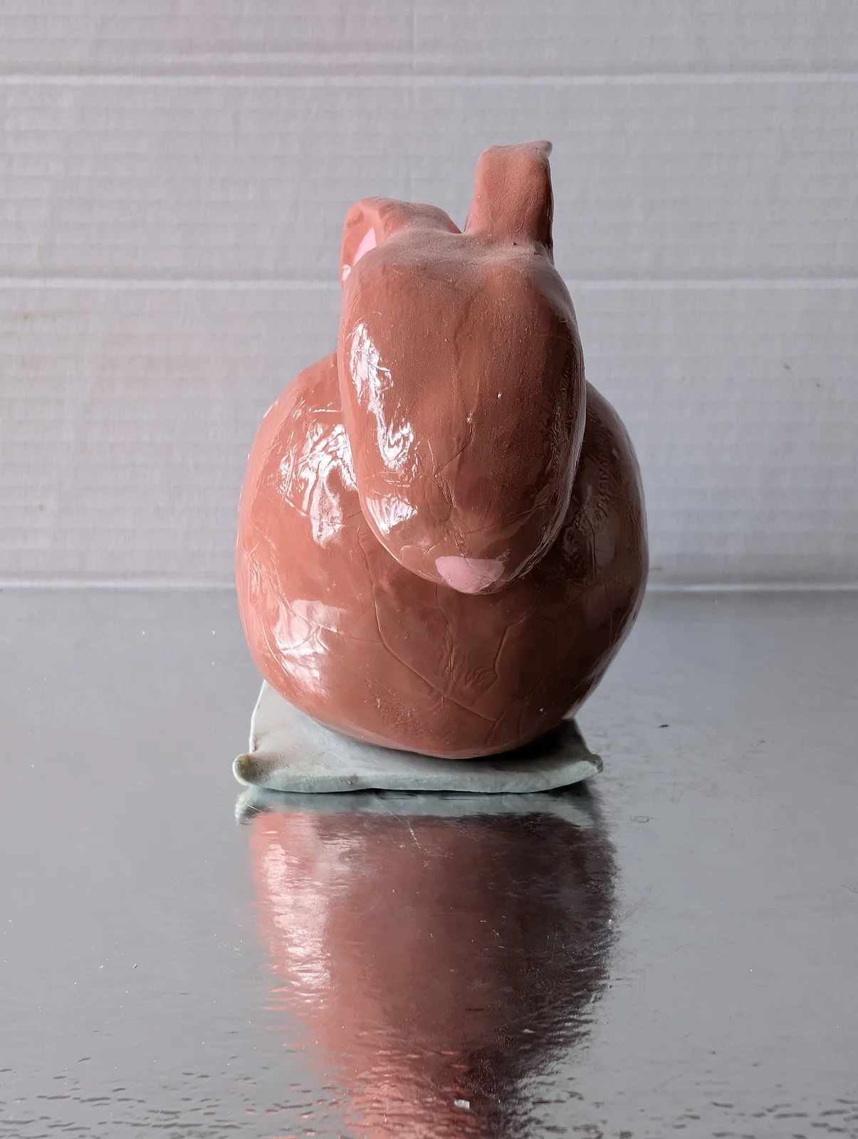 Lapin boule, vue 4
