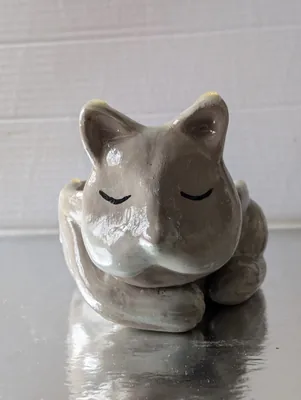 Chat vide poche
